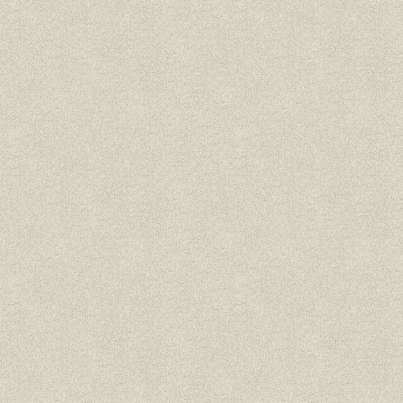 Hunter carpet by Masland