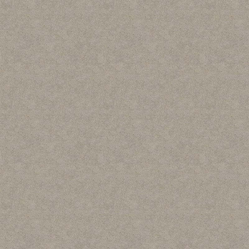 Embrace carpet by Masland