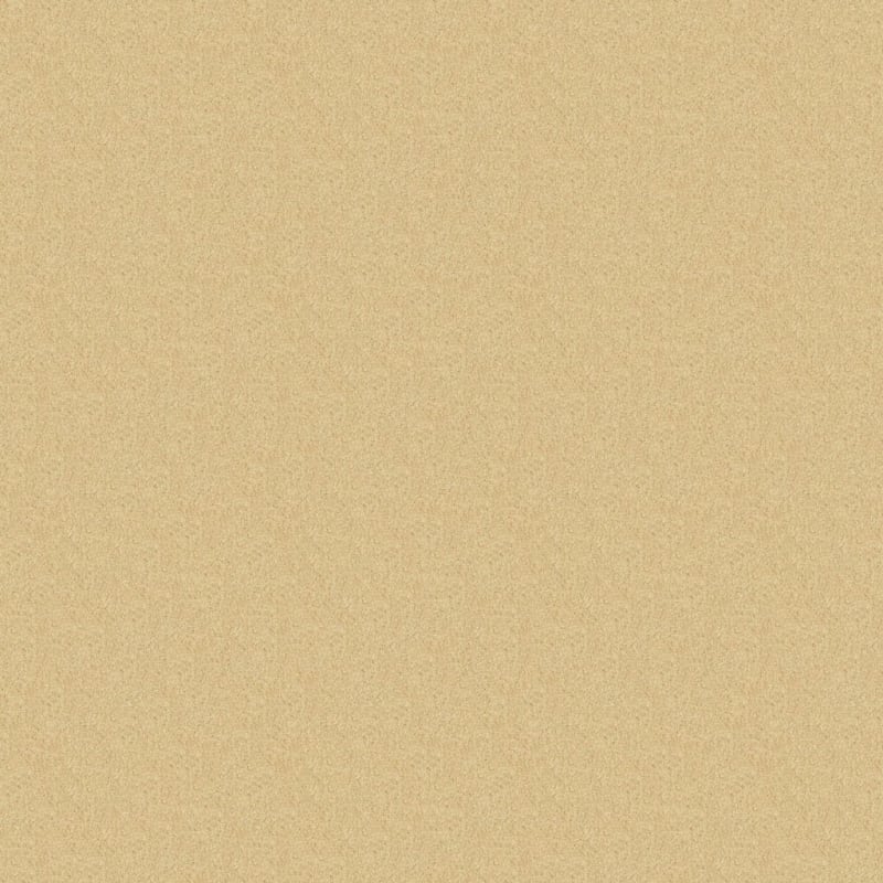 Miami carpet by Masland
