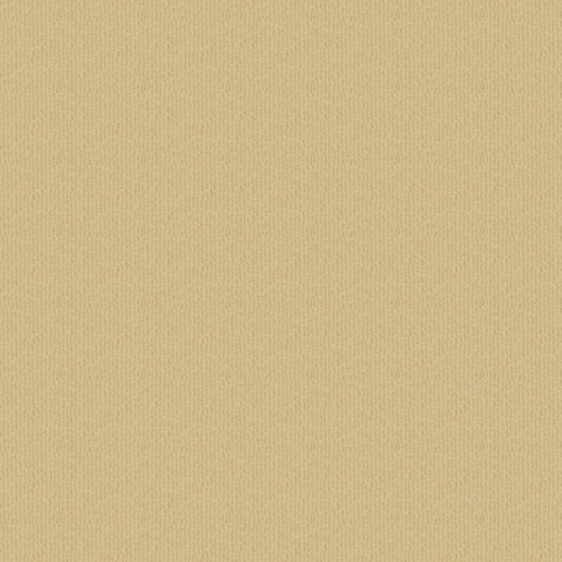 Pinehurst carpet by Masland