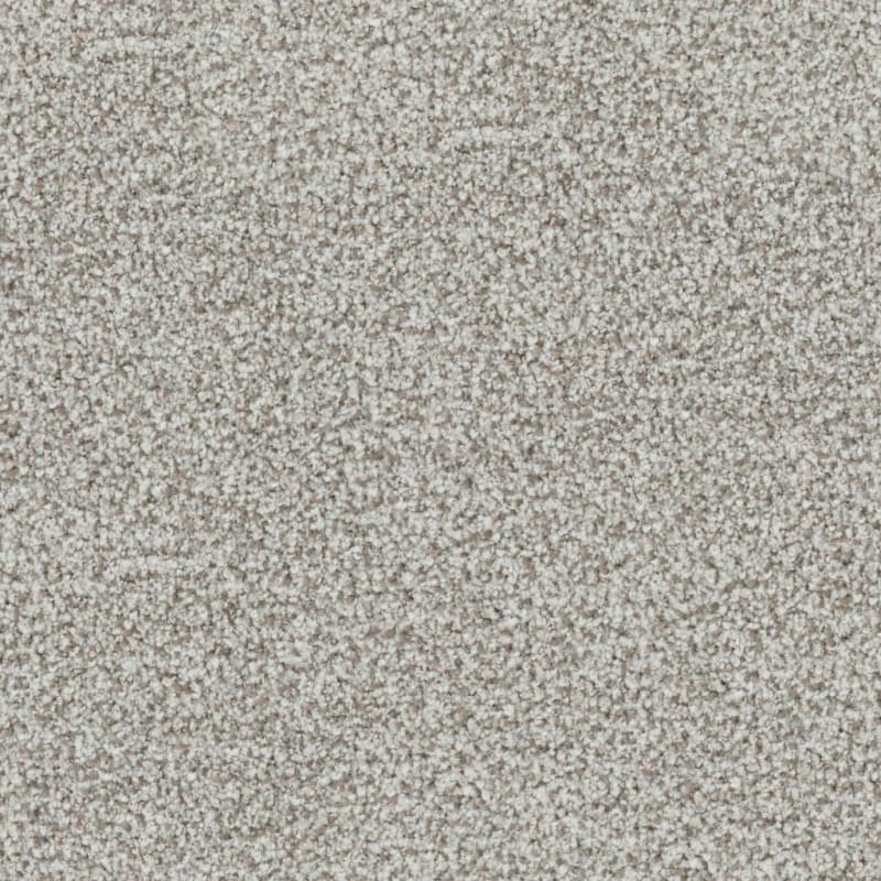St. Augustine carpet by Masland
