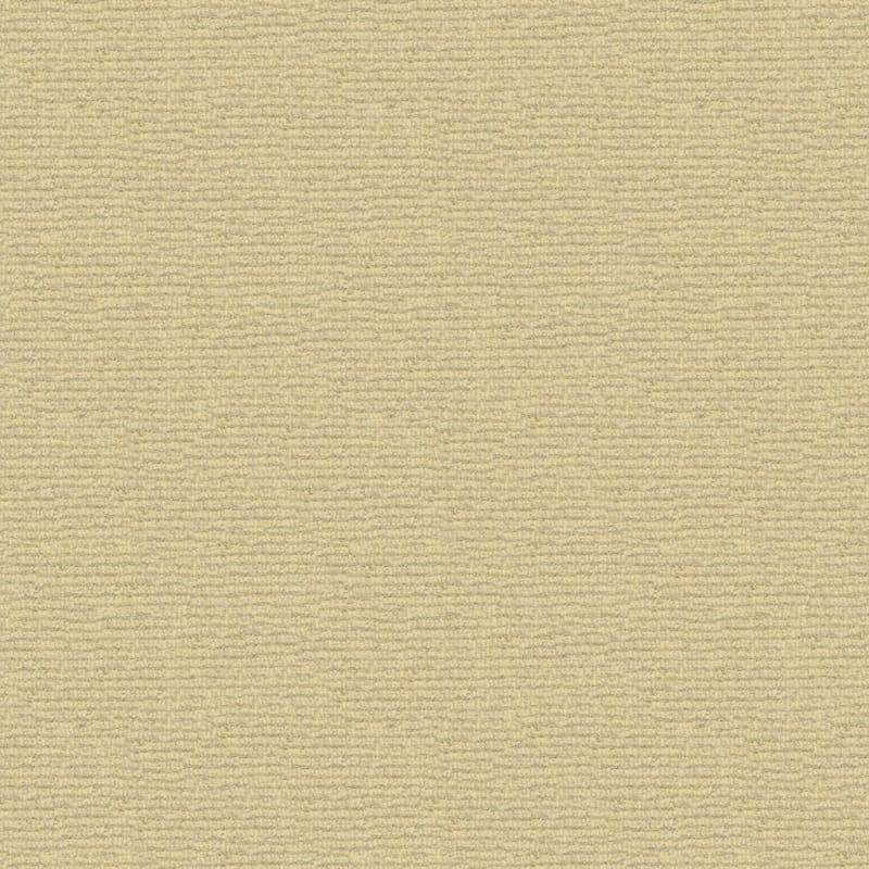 Helena carpet by Masland