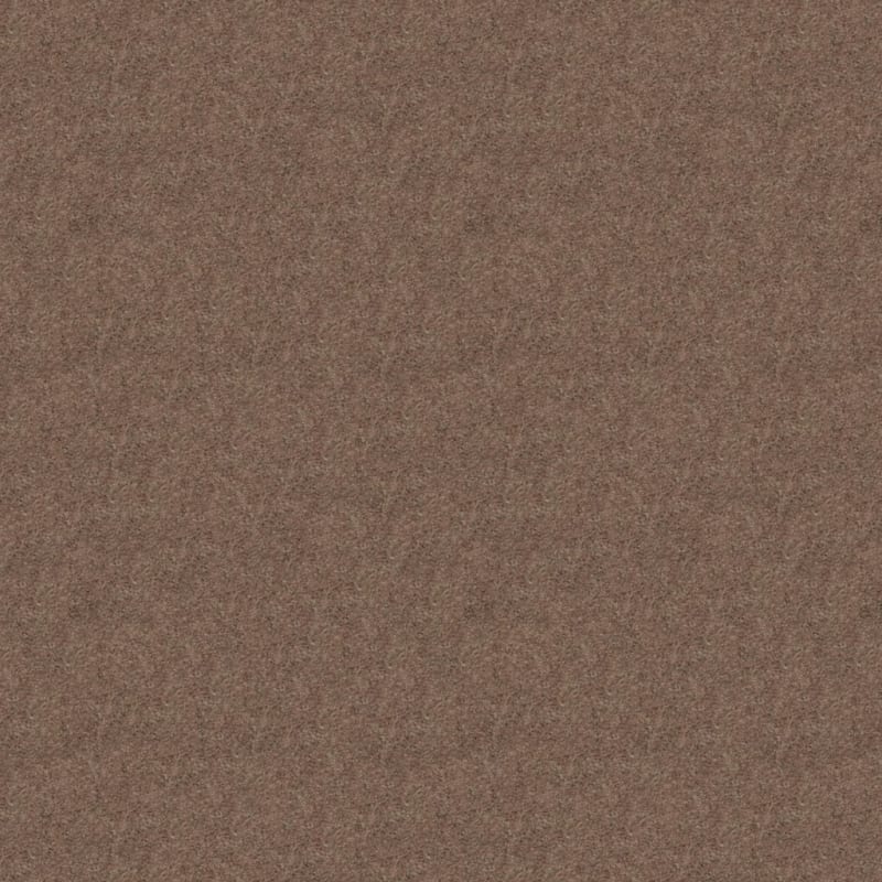 Embrace carpet by Masland