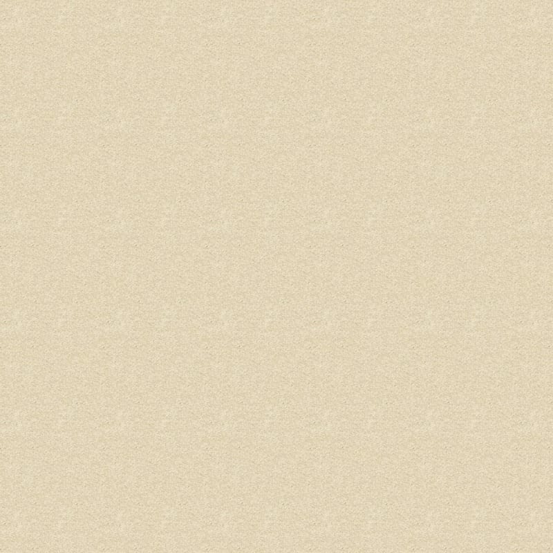 Morgan Bay carpet by Masland