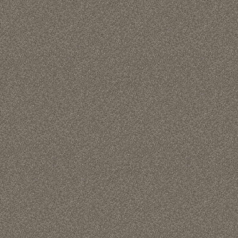 Hunter carpet by Masland