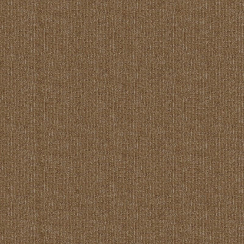 Style Sense carpet by Masland