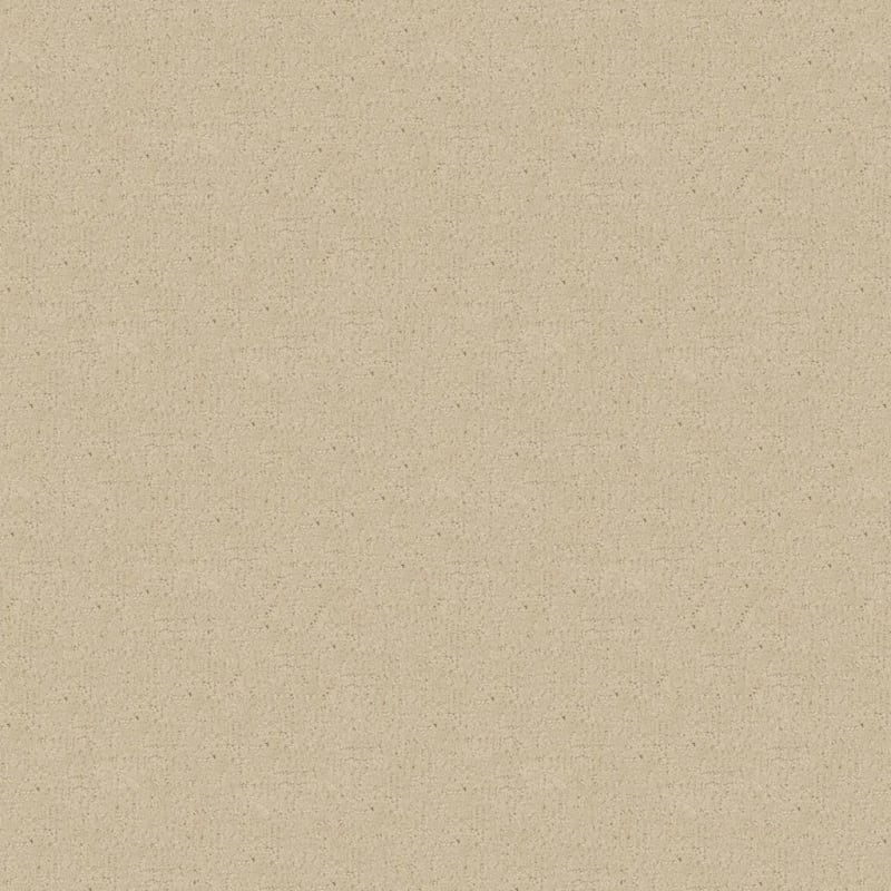 Matisse carpet by Masland