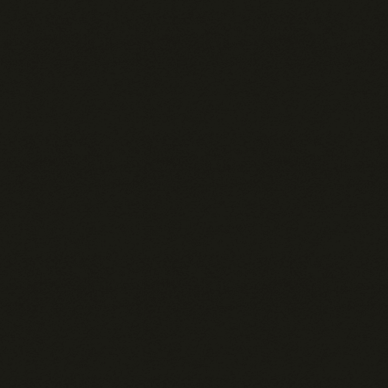 Maroon Bells carpet by Dixie Home