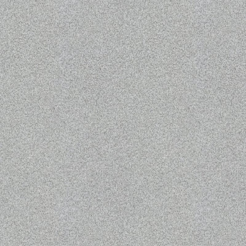 Santa Rosa carpet by Masland