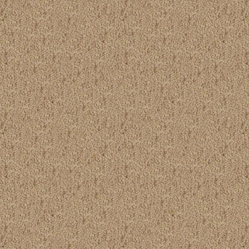 Wexford carpet by Masland