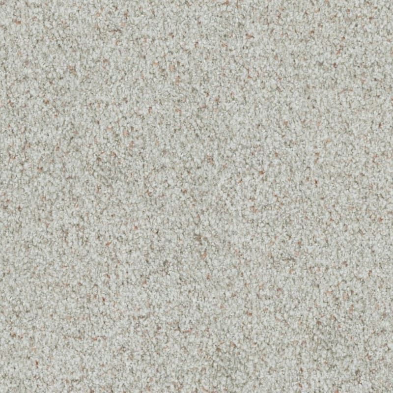 St. Augustine carpet by Masland