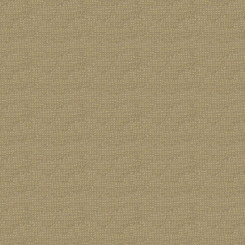 Alpha carpet by Masland