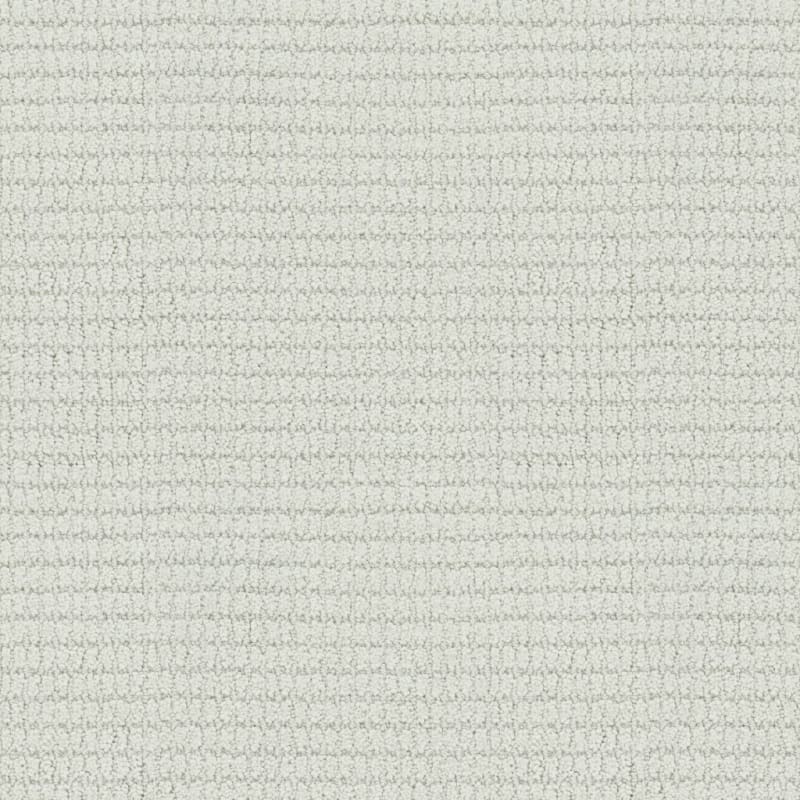 Defined carpet by Masland