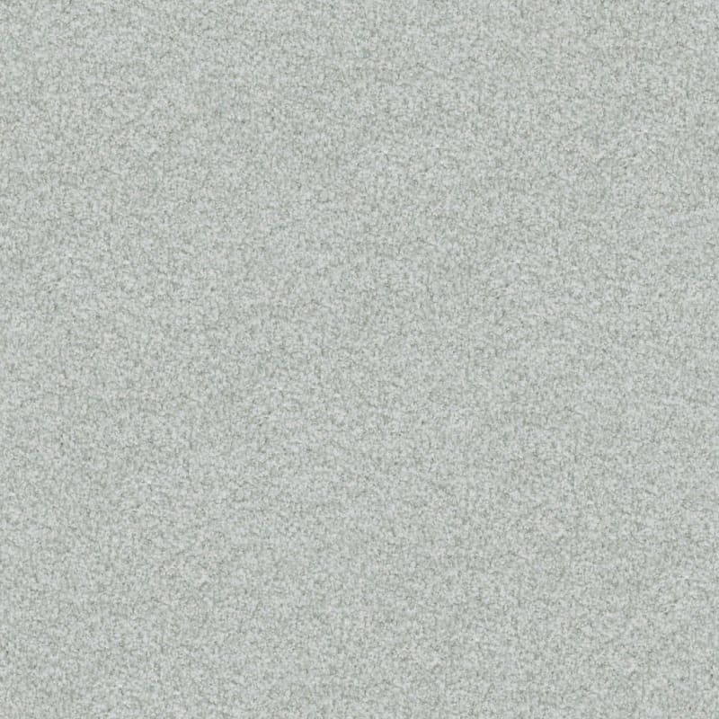 Boca Raton carpet by Masland