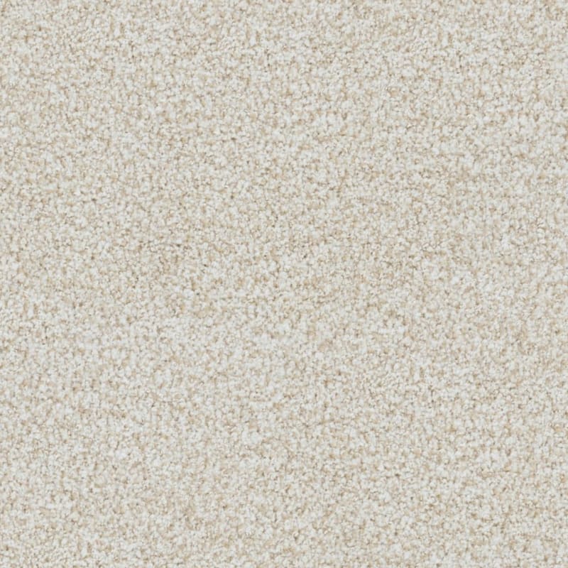 St. Augustine carpet by Masland