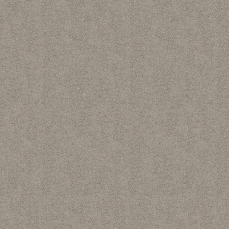 Embrace carpet by Masland