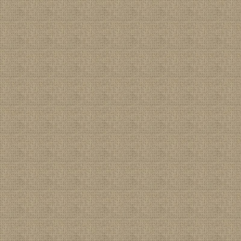 Etchings carpet by Masland