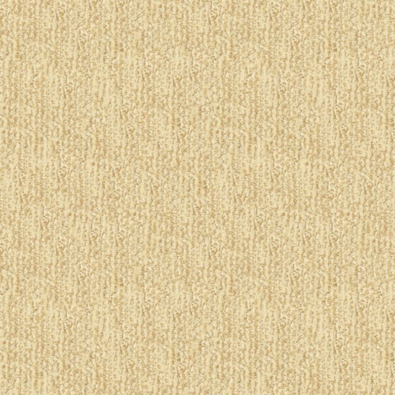 Mesa Verde carpet by Masland