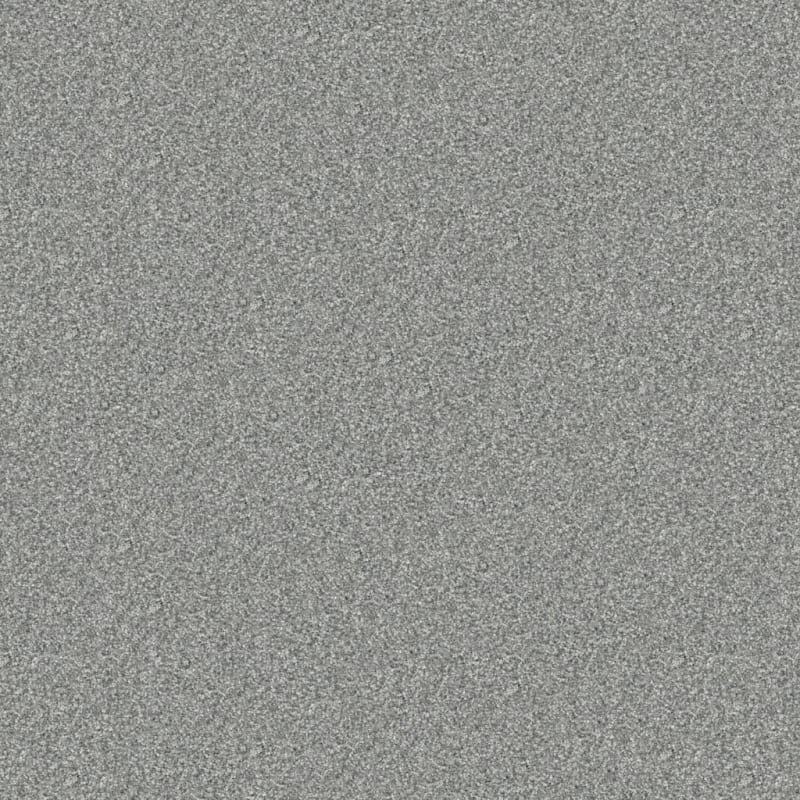 Tracker carpet by Masland