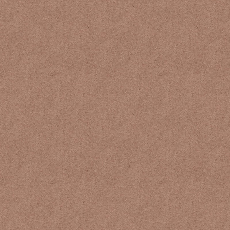 Embrace carpet by Masland