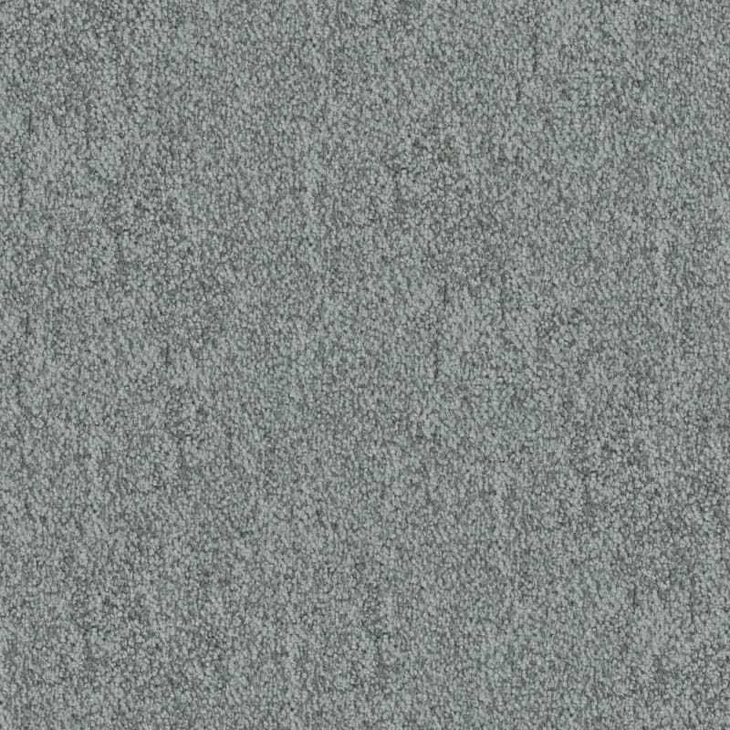 Buena Vida carpet by Masland