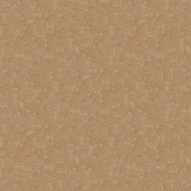 Classic Demeanor carpet by Dixie Home