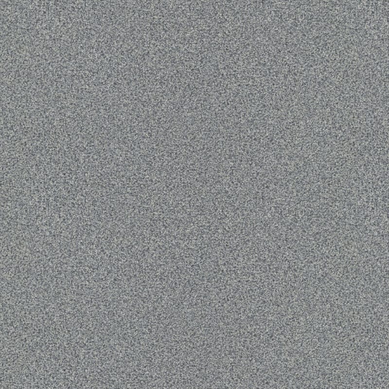 Tracker carpet by Masland