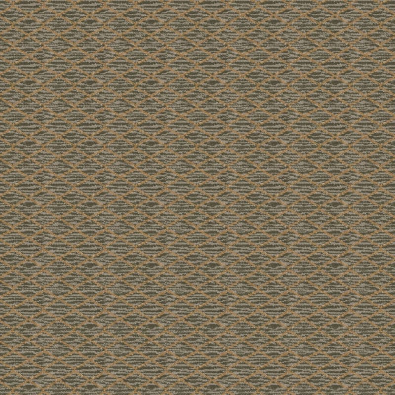 Mantra carpet by Masland