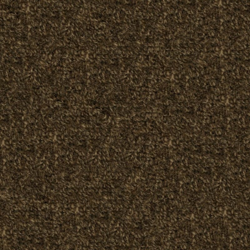 Highland carpet by Masland