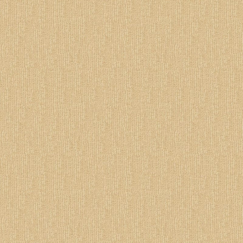 Belmond carpet by Masland