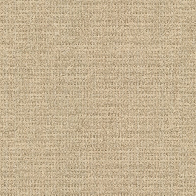 Winslow carpet by Masland