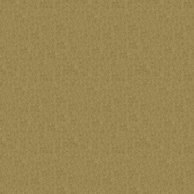 Americana carpet by Masland
