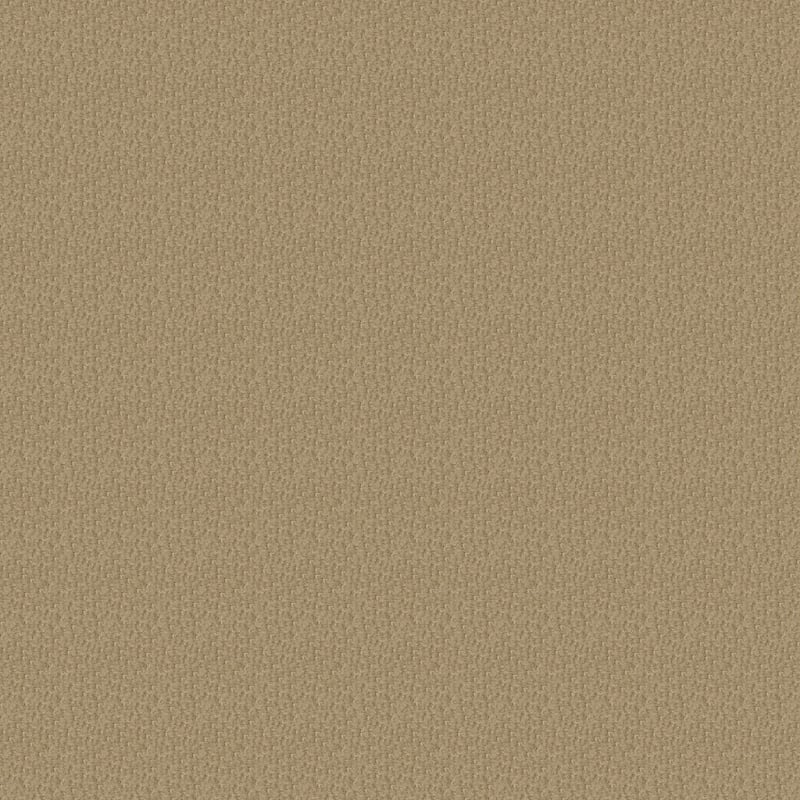 Pinehurst carpet by Masland