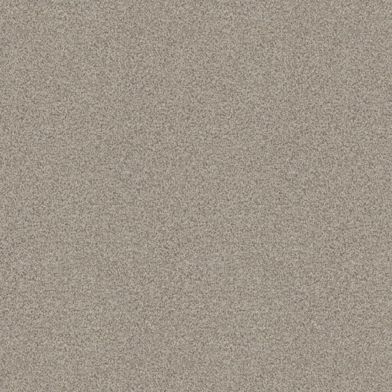 Santa Rosa carpet by Masland