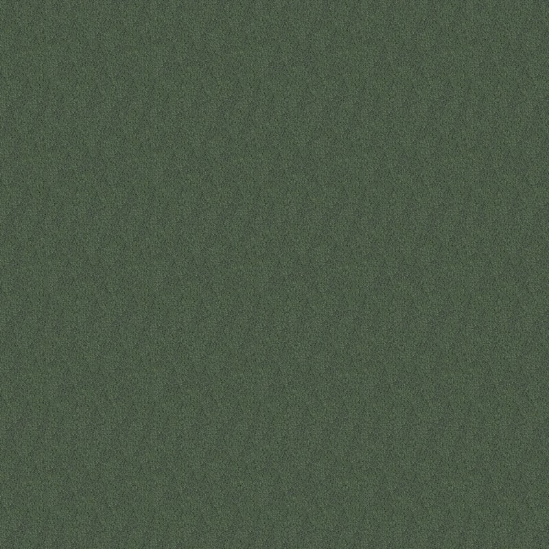 Panache carpet by Masland