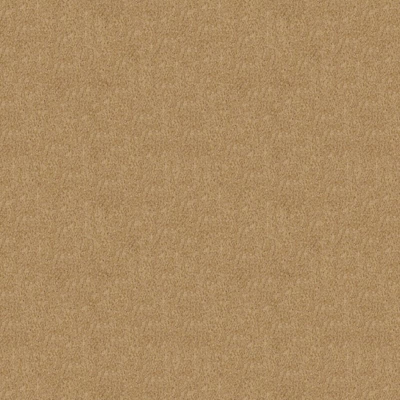 Oceanside carpet by Masland