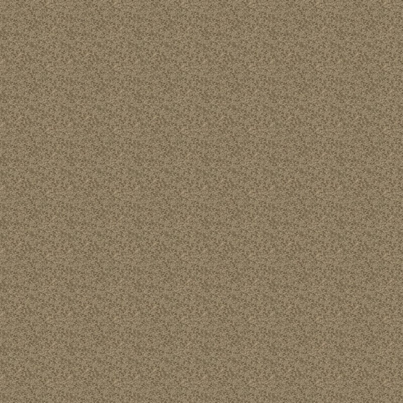 Morgan Bay carpet by Masland