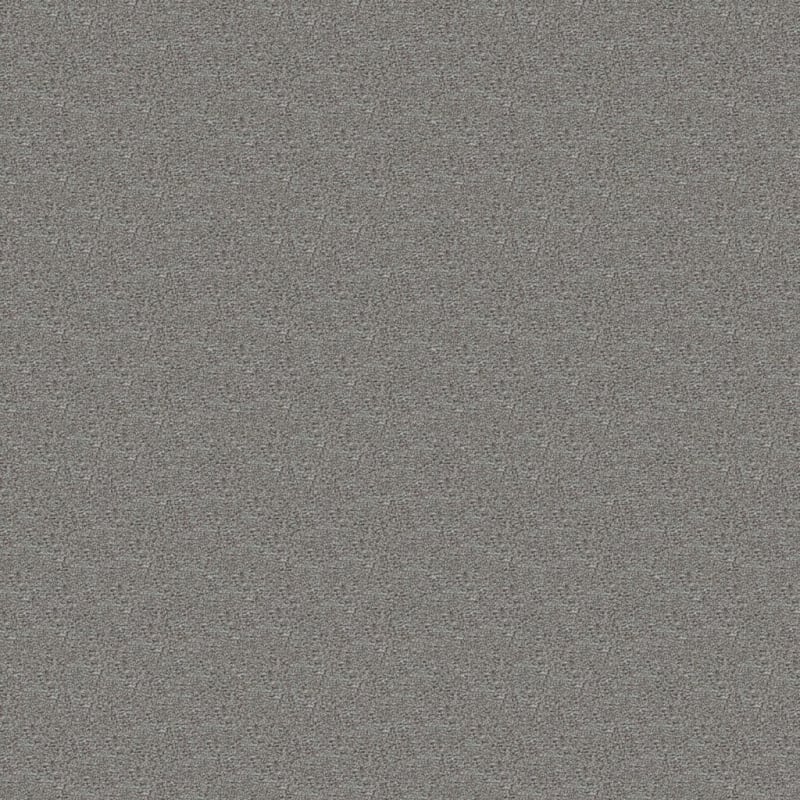 Delray carpet by Masland