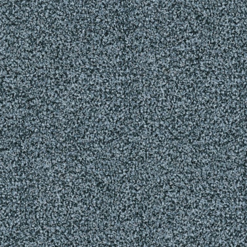 St. Augustine carpet by Masland