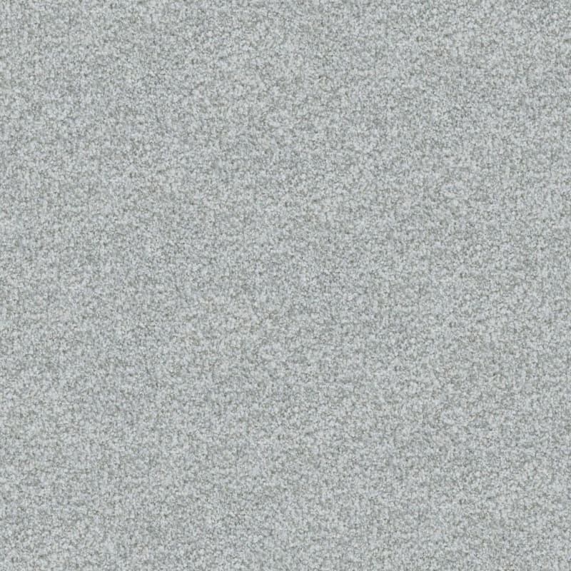 Boca Raton carpet by Masland