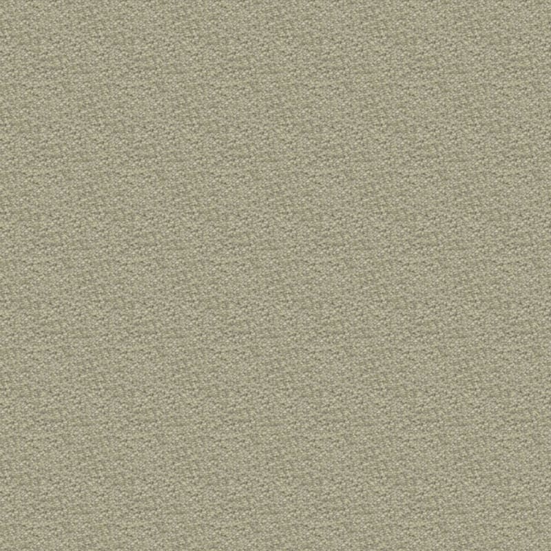 Ravishing carpet by Masland