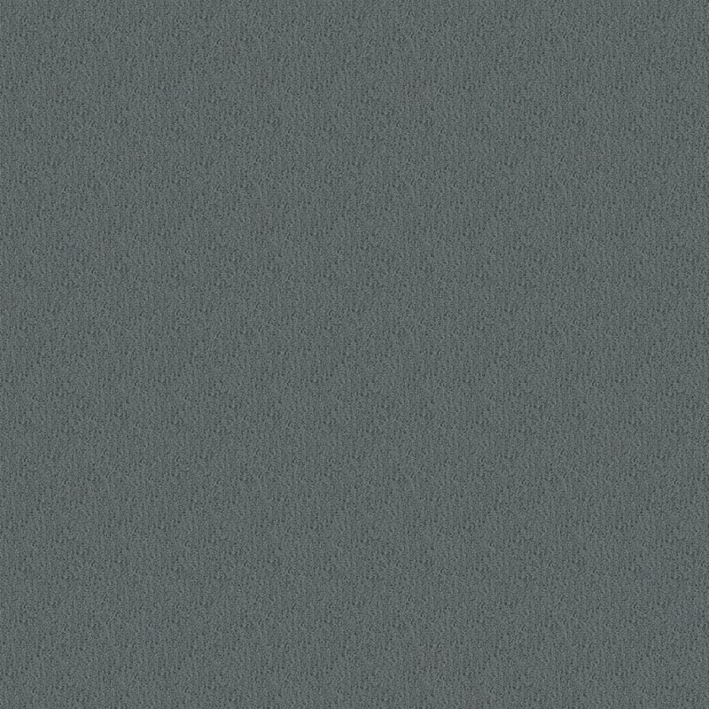 Panache carpet by Masland