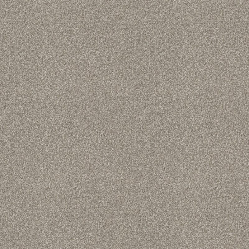 Hunter carpet by Masland