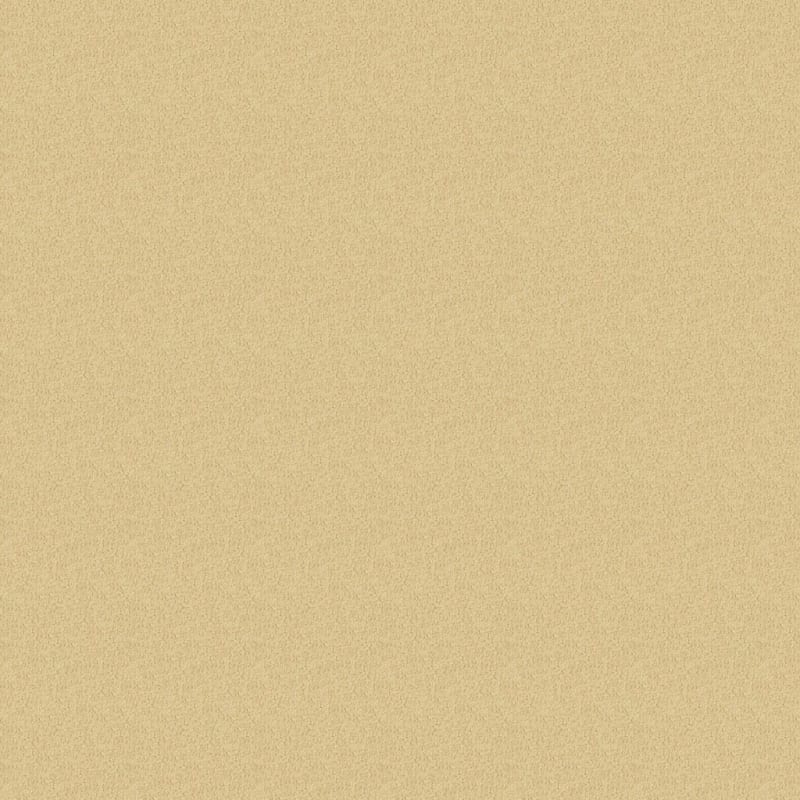 Miami carpet by Masland