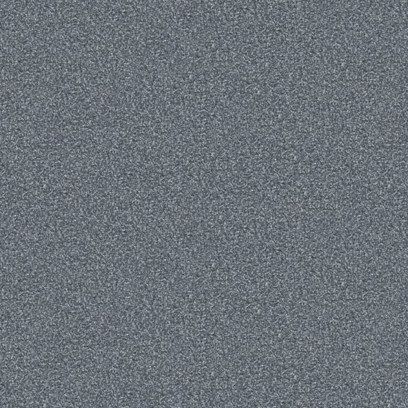 Tracker carpet by Masland