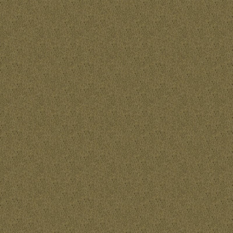 Americana carpet by Masland