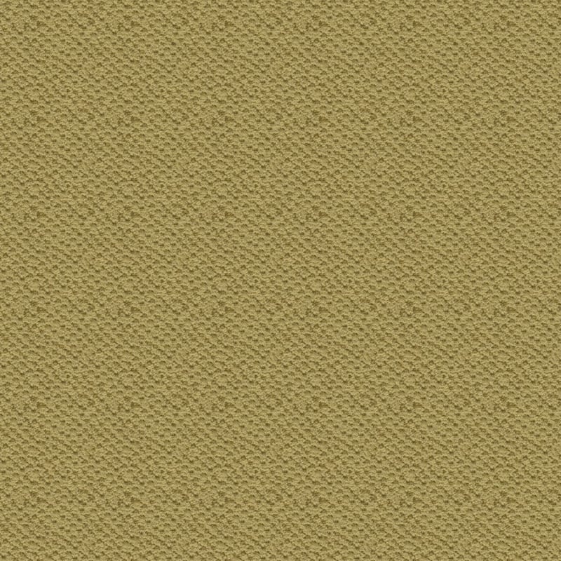 Seurat carpet by Masland