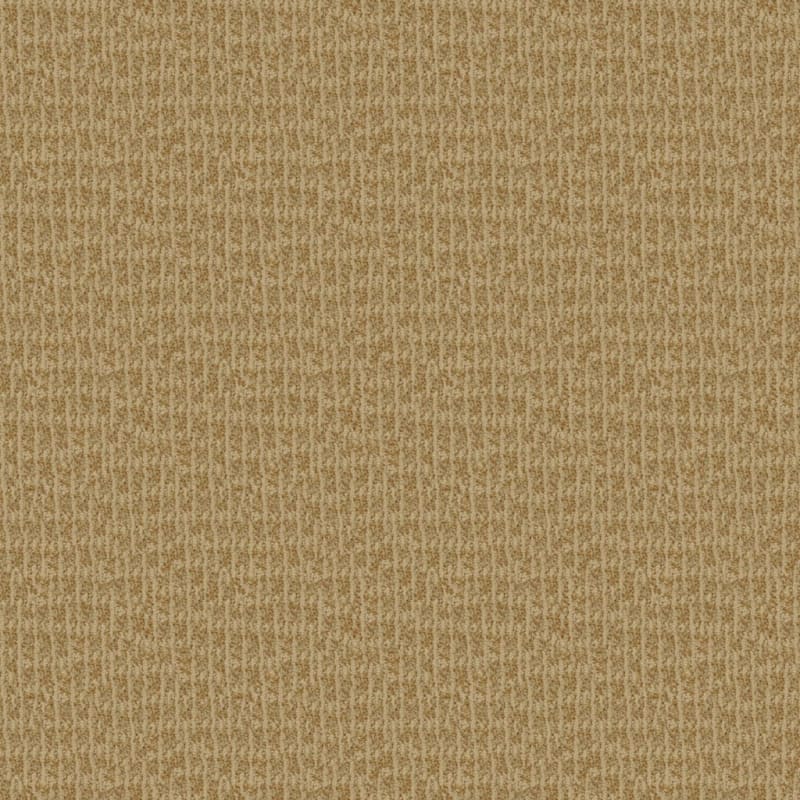Hudson Valley carpet by Masland