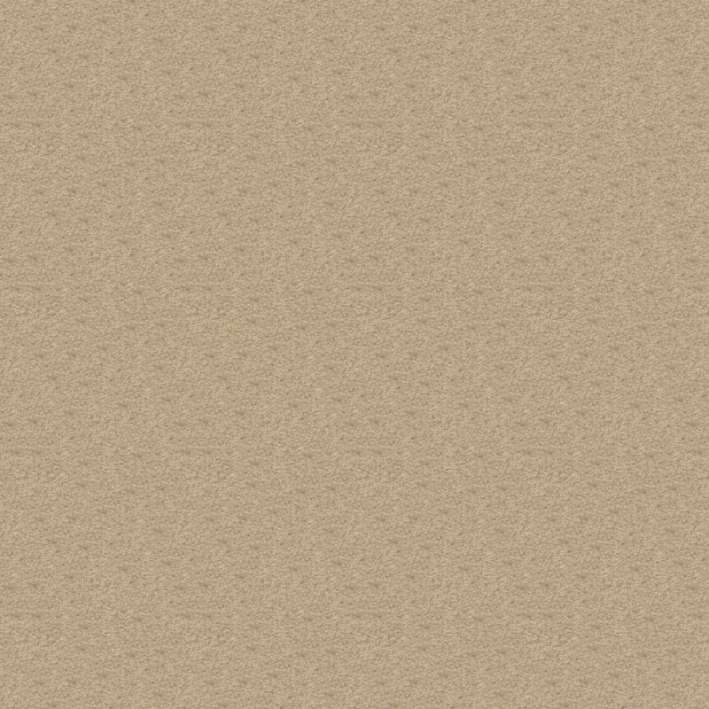 Patriot carpet by Masland
