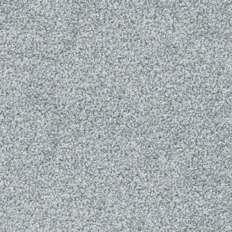 St. Augustine carpet by Masland